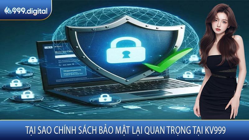 Tại Sao Chính Sách Bảo Mật Lại Quan Trọng Tại KV999